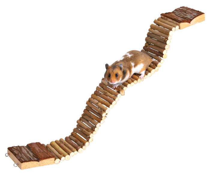 TRIXIE Natural Living Leiter